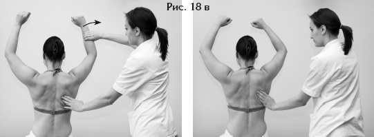 Иллюстрация к книге — Атлас профессионального массажа [i_054.jpg]