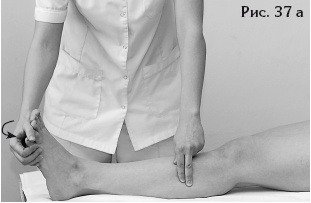 Иллюстрация к книге — Атлас профессионального массажа [i_091.jpg]