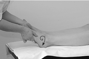 Иллюстрация к книге — Атлас профессионального массажа [i_116.jpg]