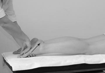 Иллюстрация к книге — Атлас профессионального массажа [i_120.jpg]