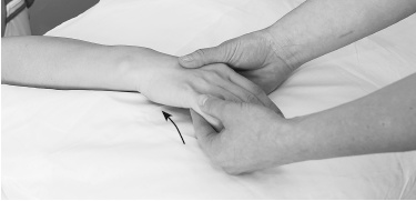 Иллюстрация к книге — Атлас профессионального массажа [i_132.jpg]