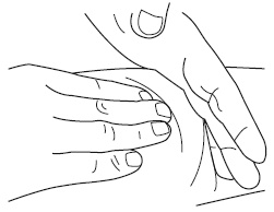 Иллюстрация к книге — Атлас профессионального массажа [i_156.jpg]