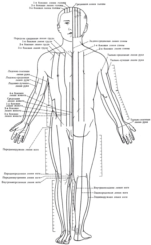 Иллюстрация к книге — Атлас профессионального массажа [i_168.jpg]