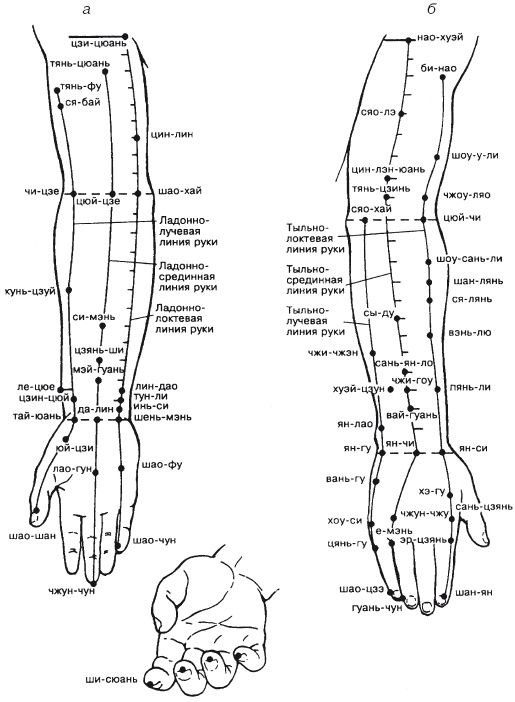 Иллюстрация к книге — Атлас профессионального массажа [i_169.jpg]