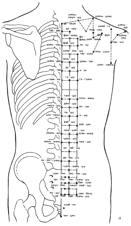Иллюстрация к книге — Атлас профессионального массажа [i_171.jpg]