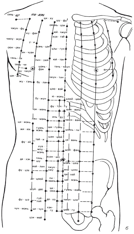 Иллюстрация к книге — Атлас профессионального массажа [i_172.jpg]