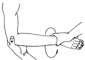 Иллюстрация к книге — Атлас профессионального массажа [i_190.jpg]