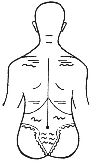 Иллюстрация к книге — Атлас профессионального массажа [i_196.jpg]
