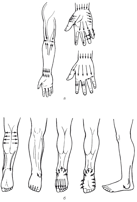 Иллюстрация к книге — Атлас профессионального массажа [i_197.jpg]