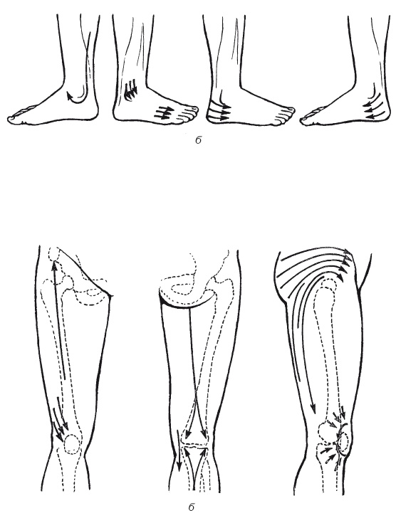 Иллюстрация к книге — Атлас профессионального массажа [i_198.jpg]
