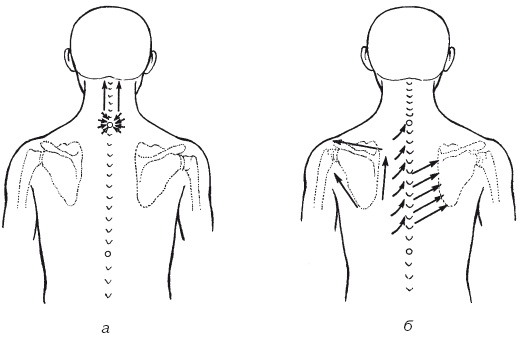 Иллюстрация к книге — Атлас профессионального массажа [i_203.jpg]