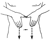 Иллюстрация к книге — Атлас профессионального массажа [i_251.jpg]