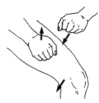 Иллюстрация к книге — Атлас профессионального массажа [i_259.jpg]