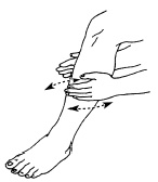 Иллюстрация к книге — Атлас профессионального массажа [i_260.jpg]