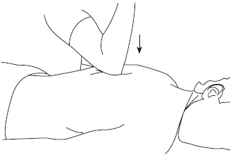 Иллюстрация к книге — Атлас профессионального массажа [i_268.jpg]