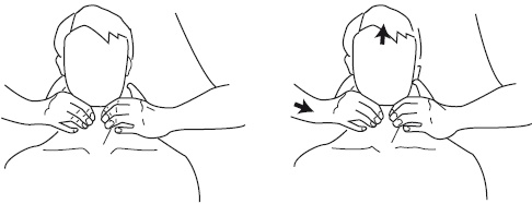 Иллюстрация к книге — Атлас профессионального массажа [i_270.jpg]