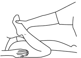 Иллюстрация к книге — Атлас профессионального массажа [i_280.jpg]