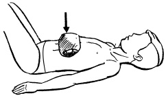 Иллюстрация к книге — Атлас профессионального массажа [i_291.jpg]