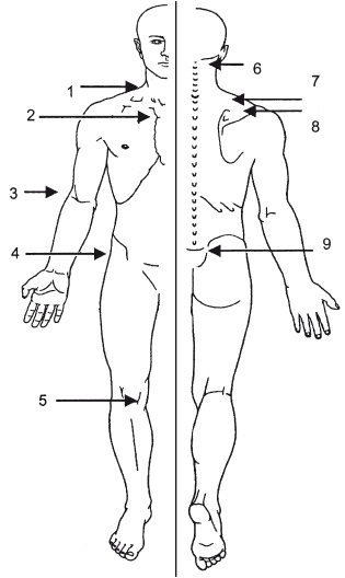 Иллюстрация к книге — Атлас профессионального массажа [i_306.jpg]