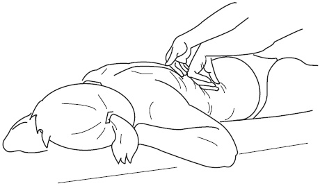 Иллюстрация к книге — Атлас профессионального массажа [i_313.jpg]