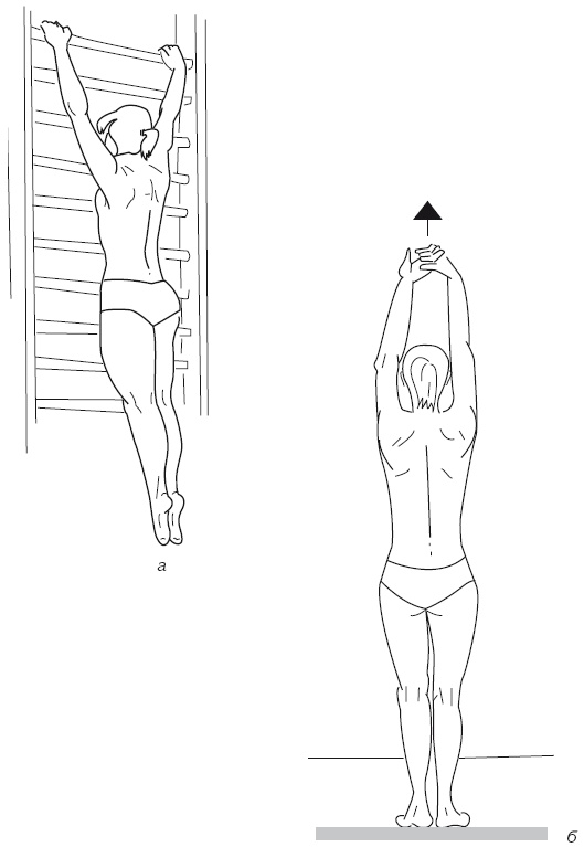 Иллюстрация к книге — Атлас профессионального массажа [i_320.jpg]