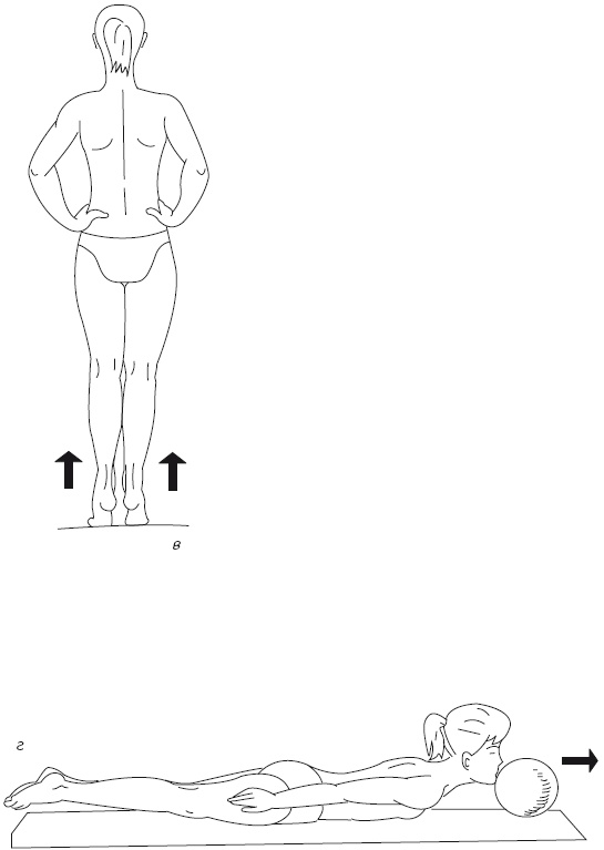 Иллюстрация к книге — Атлас профессионального массажа [i_321.jpg]