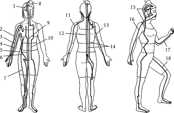 Иллюстрация к книге — Цигун. Советы на каждый день для всей семьи [i_001.jpg]