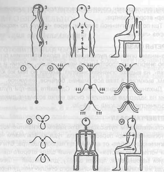 Иллюстрация к книге — Огненный цветок. Методика ДФС [i_002.jpg]