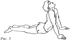 Иллюстрация к книге — Болезни почек. Самые эффективные методы лечения [i_003.jpg]