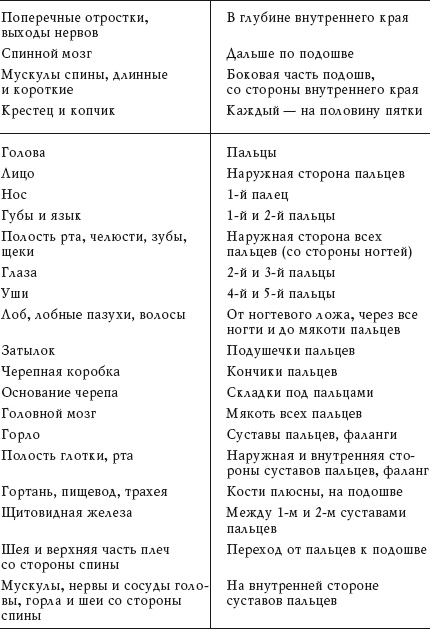 Иллюстрация к книге — Здоровье ваших ног [i_018.jpg]