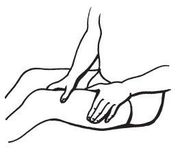 Иллюстрация к книге — Массаж для красоты и здоровья. Медовый, глиняный, ароматический, баночный [i_002.jpg]