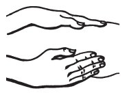 Иллюстрация к книге — Массаж для красоты и здоровья. Медовый, глиняный, ароматический, баночный [i_003.jpg]