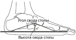 Иллюстрация к книге — Плоскостопие. Самые эффективные методы лечения [Autogen_eBook_id17.jpg]