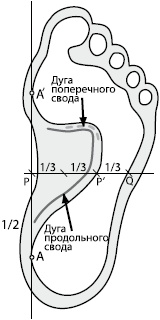 Иллюстрация к книге — Плоскостопие. Самые эффективные методы лечения [Autogen_eBook_id6.jpg]