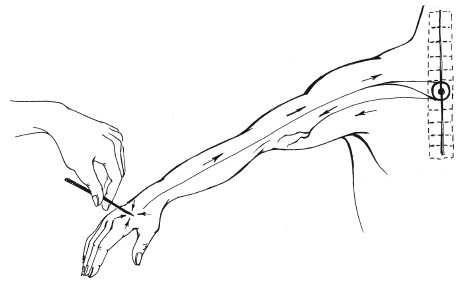 Иллюстрация к книге — Позвоночник - ключ к здоровью [Autogen_eBook_id12.jpg]