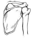 Иллюстрация к книге — Позвоночник - ключ к здоровью [Autogen_eBook_id2.jpg]