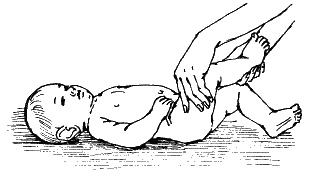 Иллюстрация к книге — Детский массаж. Поэтапное руководство [i_004.jpg]