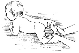 Иллюстрация к книге — Детский массаж. Поэтапное руководство [i_011.jpg]