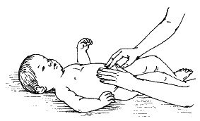 Иллюстрация к книге — Детский массаж. Поэтапное руководство [i_023.jpg]