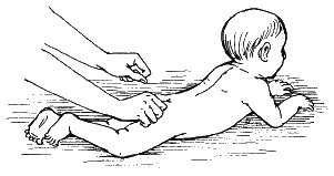 Иллюстрация к книге — Детский массаж. Поэтапное руководство [i_033.jpg]