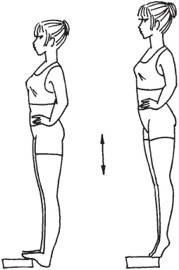 Иллюстрация к книге — Антицеллюлитная гимнастика. Ровная гладкая кожа за 1 месяц [_24.jpg]