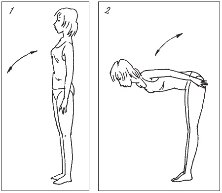Иллюстрация к книге — Невидимая гимнастика для тех, кто следит за своей фигурой. Гимнастика в офисе, лифте, на пляже, по дороге на работу [i_006.jpg]