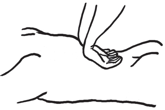 Иллюстрация к книге — Энциклопедия массажа [i_006.jpg]