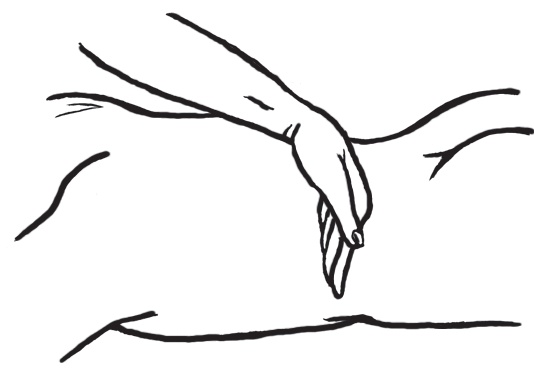 Иллюстрация к книге — Энциклопедия массажа [i_007.jpg]