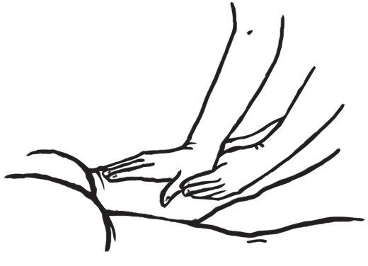 Иллюстрация к книге — Энциклопедия массажа [i_009.jpg]