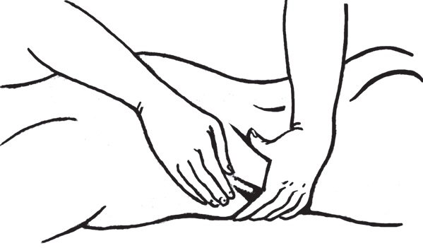 Иллюстрация к книге — Энциклопедия массажа [i_013.jpg]