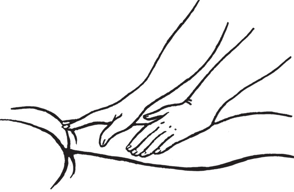 Иллюстрация к книге — Энциклопедия массажа [i_014.jpg]