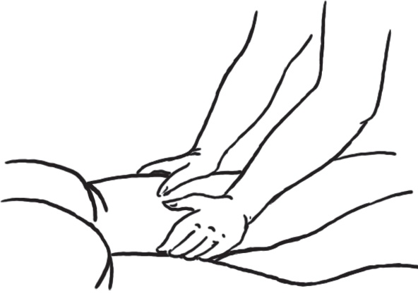 Иллюстрация к книге — Энциклопедия массажа [i_015.jpg]