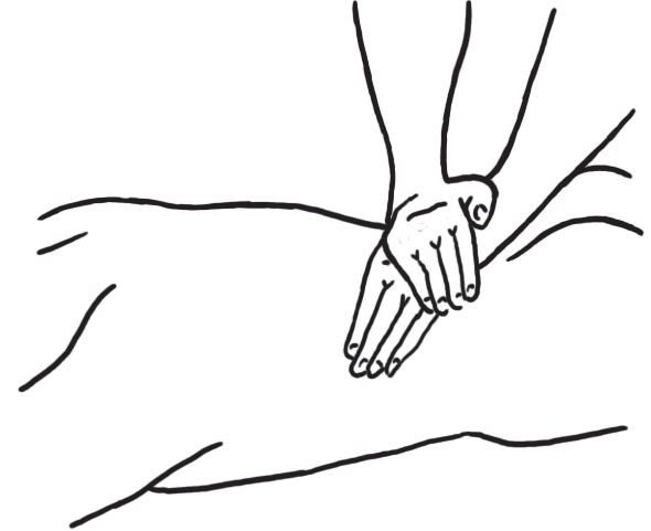 Иллюстрация к книге — Энциклопедия массажа [i_017.jpg]