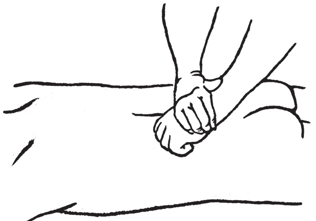 Иллюстрация к книге — Энциклопедия массажа [i_019.jpg]